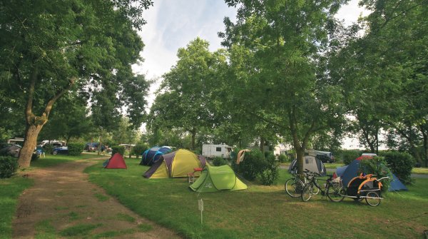 L'Isle Verte Paesi della Loira - Montsoreau visuel 21/28
