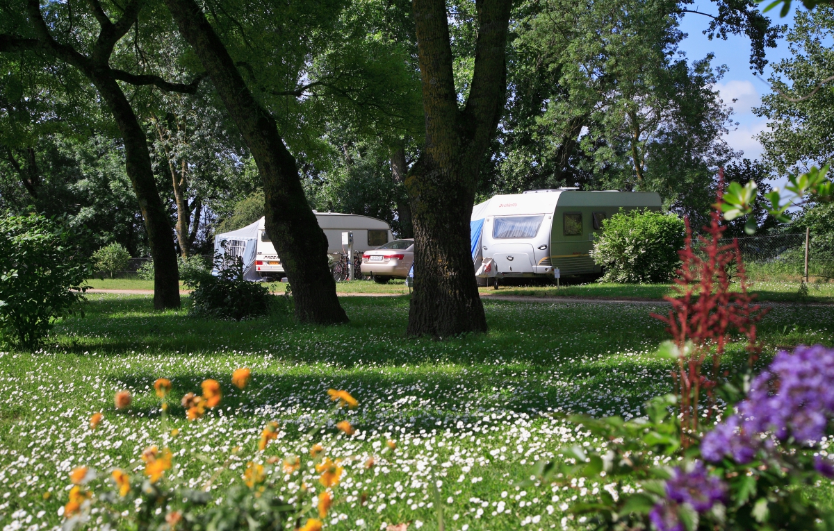 L'Isle Verte Paesi della Loira - Montsoreau visuel 20/28