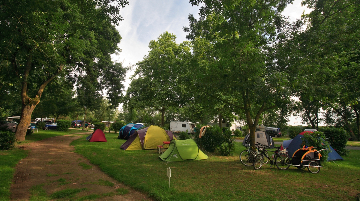 L'Isle Verte Paesi della Loira - Montsoreau visuel 19/28