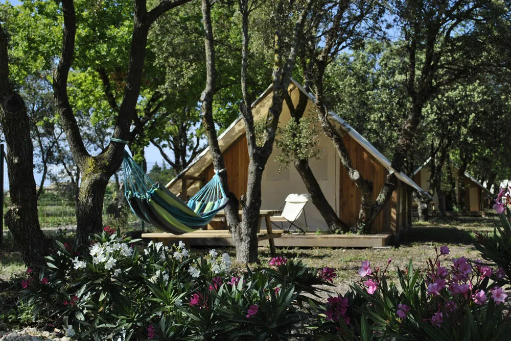 Camping Lodges en Provence Provence-Alpes-Côte d'Azur - Richerenches visuel 4/7