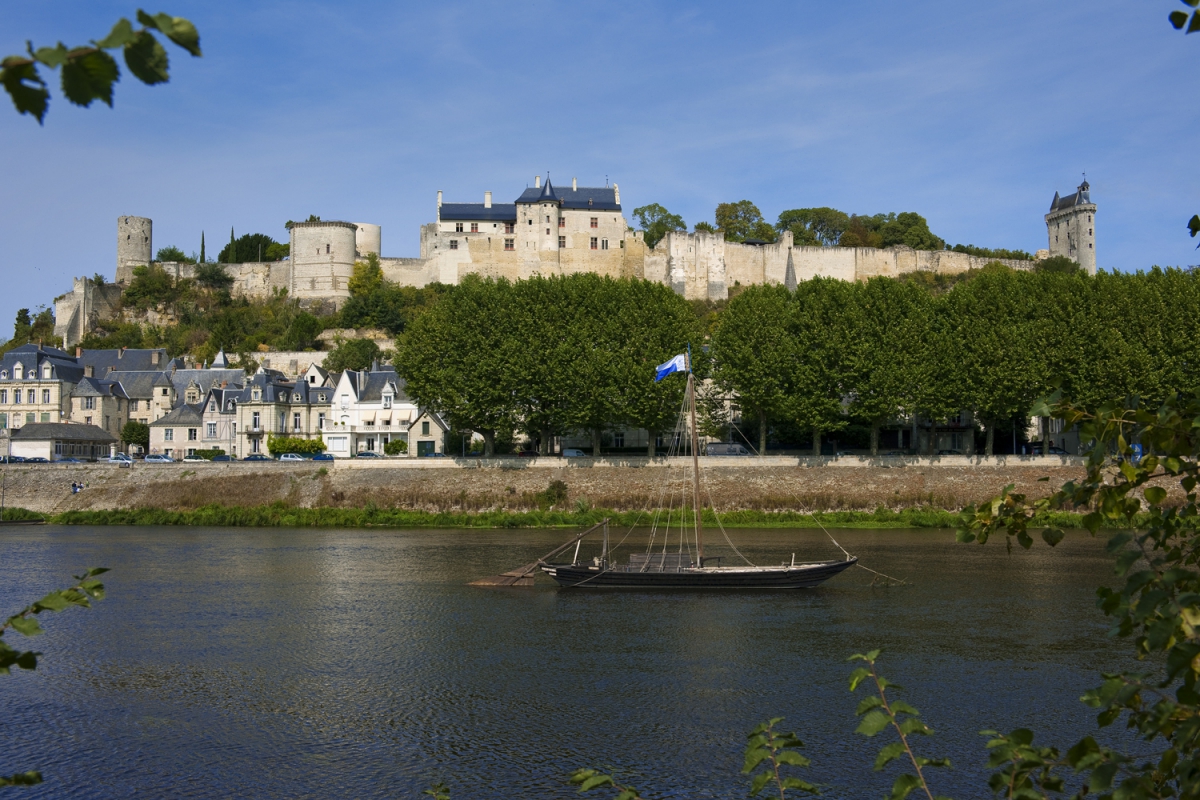 Loire et Châteaux Grand Centre - Bréhémont visuel 8/8