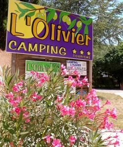 Camping l'Olivier Languedoc-Roussillon - Junas visuel 9/11