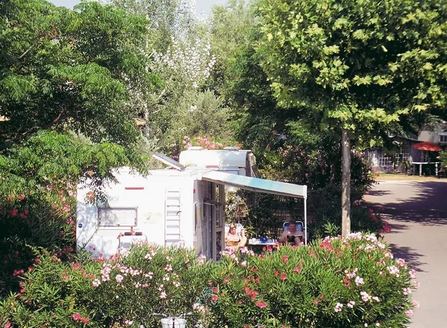 Camping Lou Comtadou Provence-Alpes-Côte d'Azur - Carpentras visuel 4/10