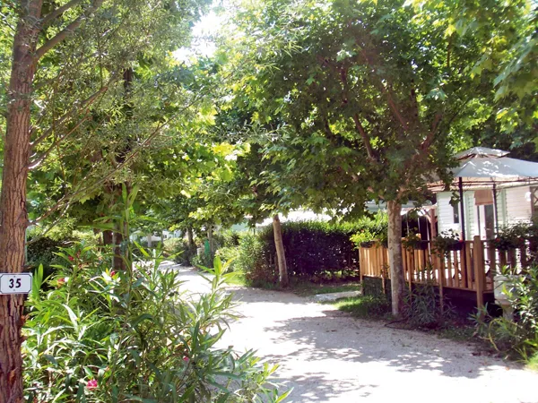Camping Lou Comtadou Provence-Alpes-Côte d'Azur - Carpentras visuel 5/10