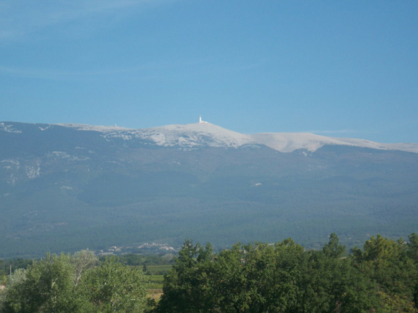 Lou Comtadou Provence-Alpes-Côte d'Azur - Carpentras visuel 6/10
