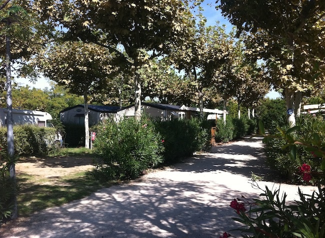 Lou Comtadou Provence-Alpes-Côte d'Azur - Carpentras visuel 8/10