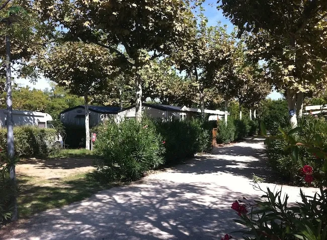 Camping Lou Comtadou Provence-Alpes-Côte d'Azur - Carpentras visuel 10/10