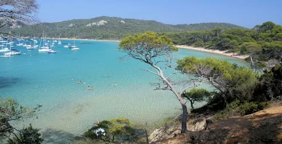Camping Lou Pantaï Provence-Alpes-Côte d'Azur - Le Pradet visuel 5/10