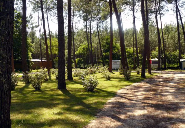 Camping Lou Payou Aquitaine - Lesperon visuel 12/16