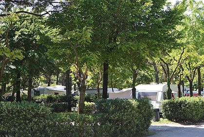 Malibu Beach Vénétie - Lido di Jesolo visuel 8/9 Malibu Beach Vénétie - Lido di Jesolo visuel 8/9