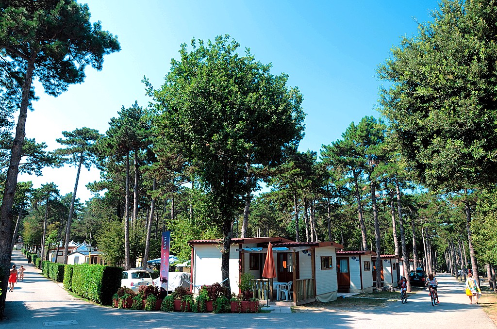 Mare Pineta Frioul-Vénétie Julienne - Sistiana visuel 5/11