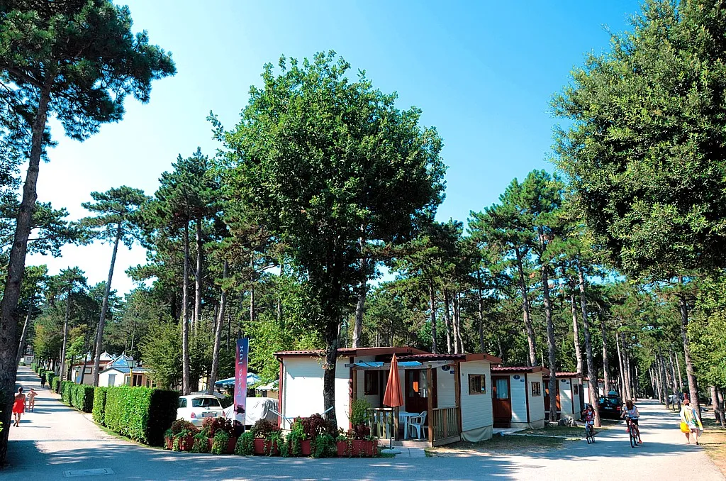 Camping Mare Pineta Frioul-Vénétie Julienne - Sistiana visuel 8/11