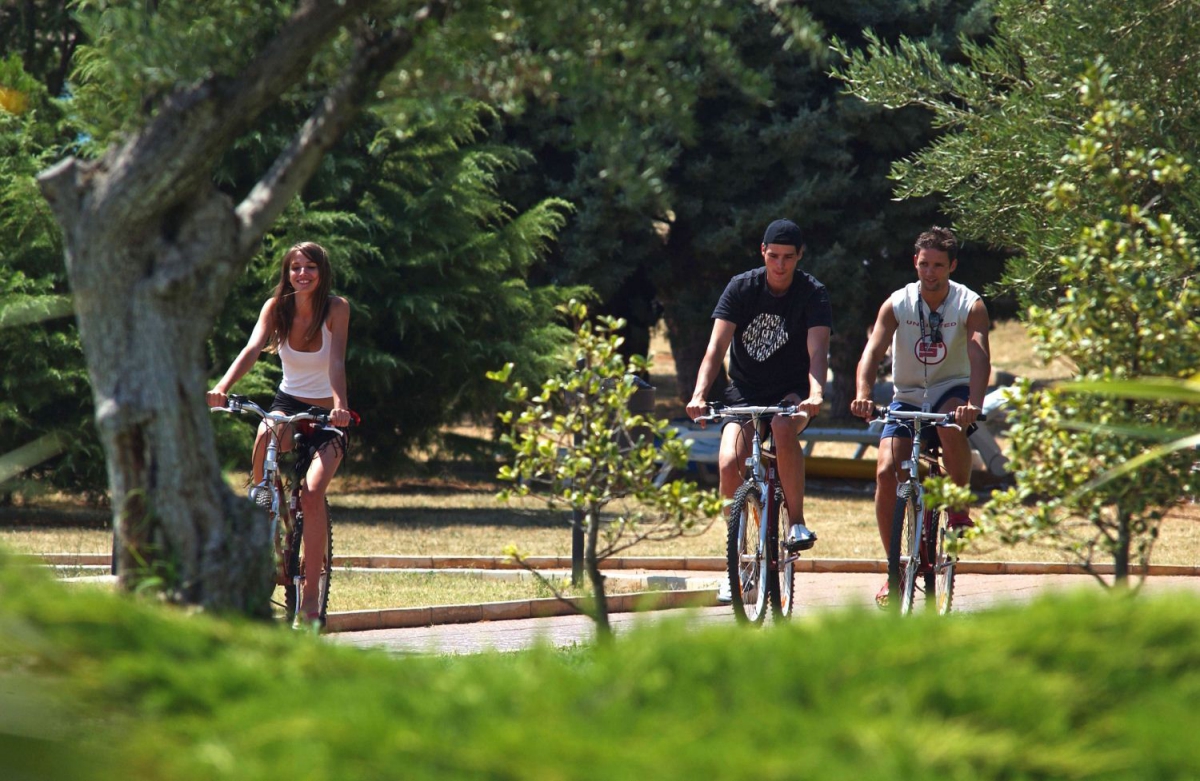 Mareda Istrie - Novigrad visuel 6/10