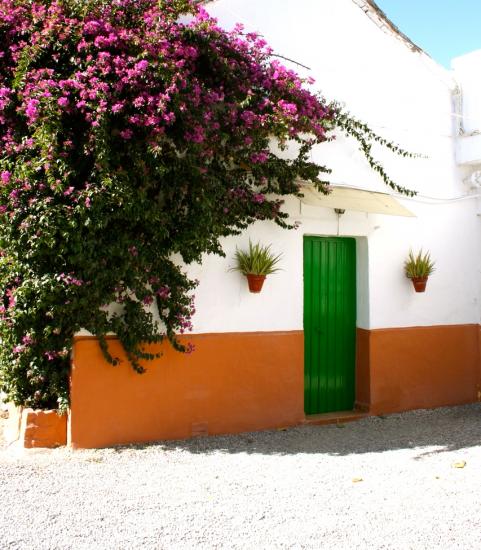 María Eugenia Andalousie - Grenade visuel 2/10 María Eugenia Andalousie - Grenade visuel 2/10