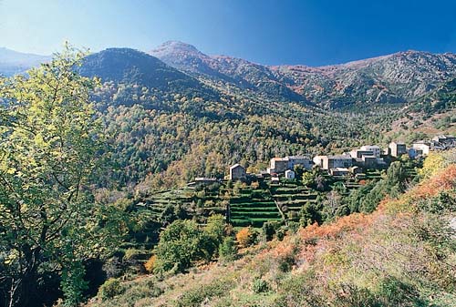 Marina d'Aléria Corse - Aléria visuel 9/10