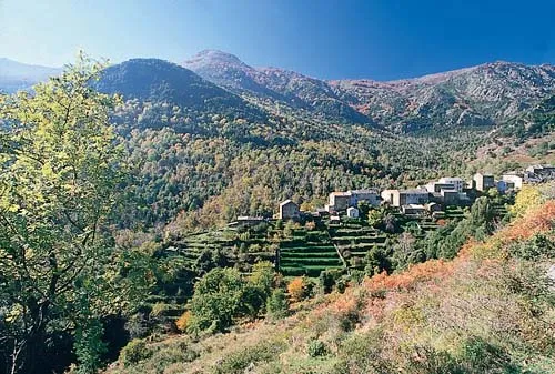 Camping Marina d'Aléria Corse - Aléria visuel 9/10