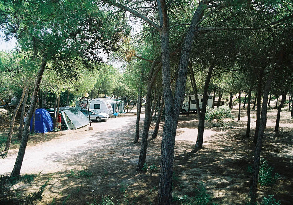Camping Marina di Sorso Sardaigne - Sorso visuel 9/9