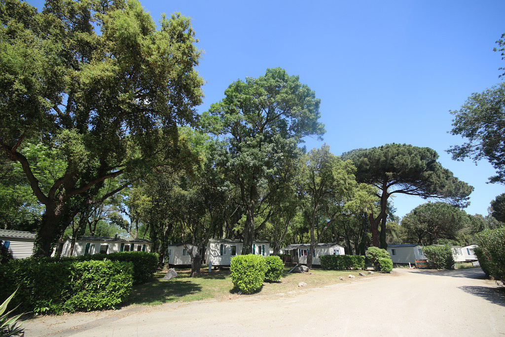 Marina Paradise Provence-Alpes-Côte d'Azur - Cogolin visuel 5/16