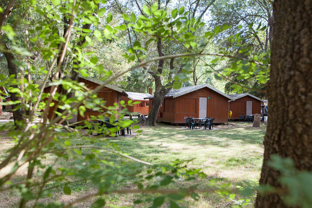 Marina Paradise Provence-Alpes-Côte d'Azur - Cogolin visuel 14/16