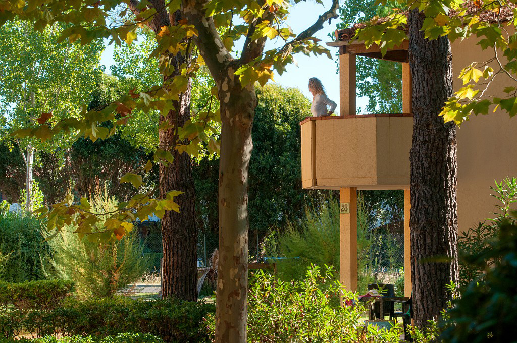 Marina Paradise Provence-Alpes-Côte d'Azur - Cogolin visuel 11/16