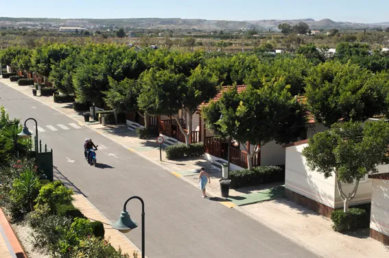 Camping Marjal Bungalows Resort Costa Blanca - Guardamar del Segura visuel 5/9
