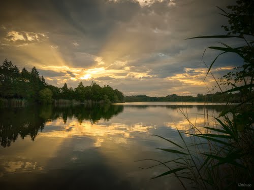 Mas de la Forêt Rhône-Alpes - Heyrieux visuel 1/1