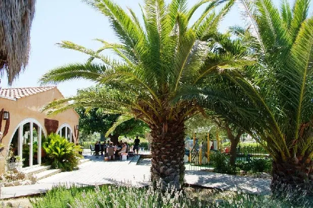 Camping Mas de Pierredon Provence-Alpes-Côte d'Azur - Sanary-sur-Mer visuel 15/20