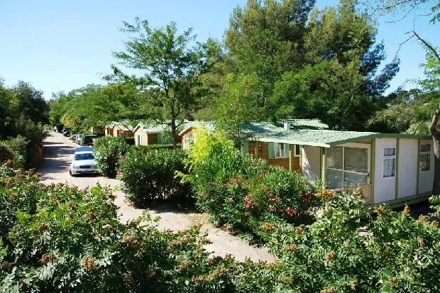 Camping Mas de Pierredon Provence-Alpes-Côte d'Azur - Sanary-sur-Mer visuel 12/20