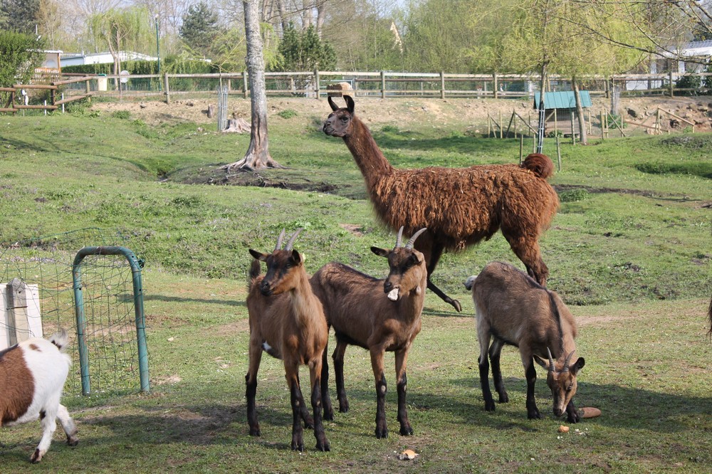 Monaco Parc Basse-Normandie - Longny-au-Perche visuel 6/6 Monaco Parc Basse-Normandie - Longny-au-Perche visuel 6/6