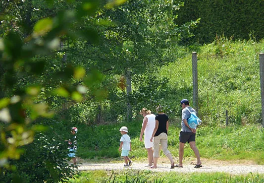 Camping Montréal Limousin - Saint-Germain-les-Belles visuel 11/11