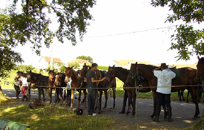 Montréal Limousin - Saint-Germain-les-Belles visuel 9/11 Montréal Limousin - Saint-Germain-les-Belles visuel 9/11