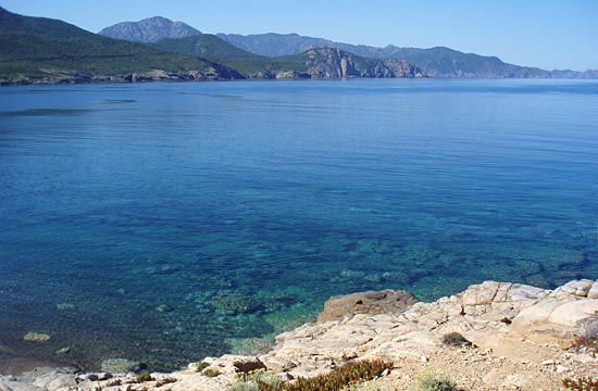 Morsetta Corse - Calenzana visuel 1/8 Morsetta Corse - Calenzana visuel 1/8