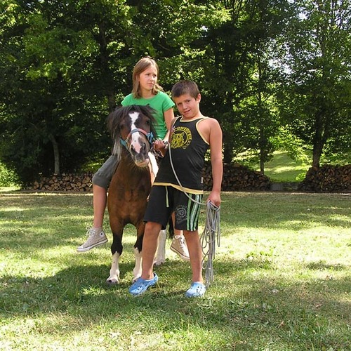 Moulin des Sandaux Aquitaine - Saint-André-et-Appelles visuel 7/12