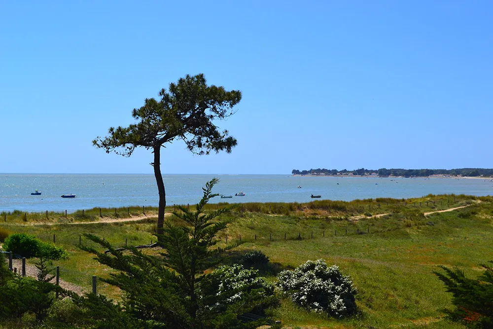 Camping Municipal de la Court Pays de Loire - La Guérinière visuel 9/10