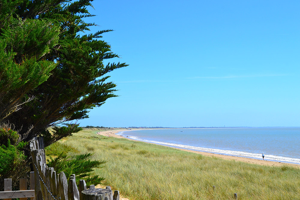 Camping Municipal de la Court Pays de Loire - La Guérinière visuel 9/10