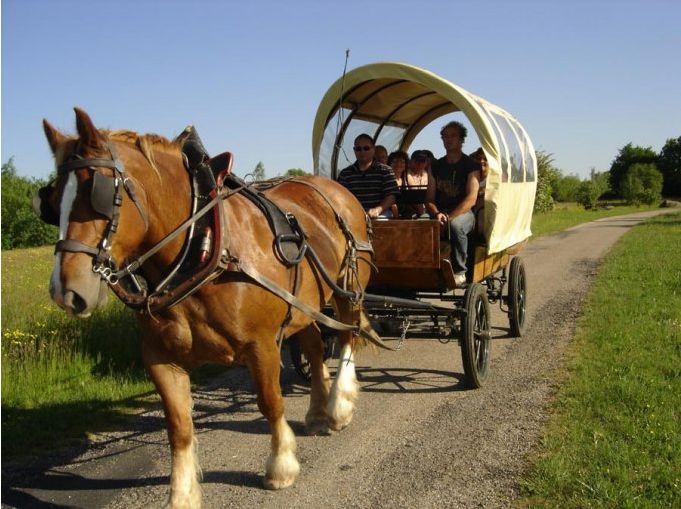 Natura Resort Pescalis Poitou-Charentes - Moncoutant visuel 6/11