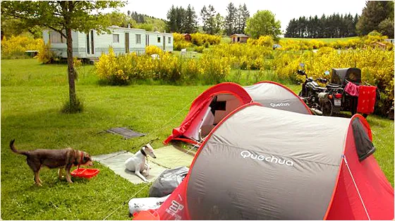 Camping Naturiste Domaine des Monts de Bussy Limousin - Eymoutiers visuel 5/7