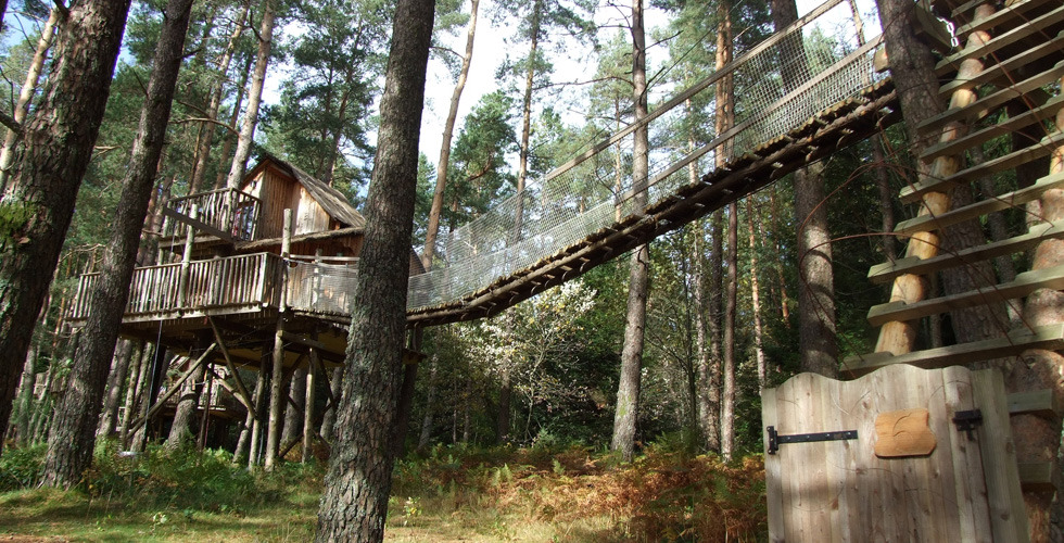 Nids des Vosges Lorraine - Champdray visuel 9/10