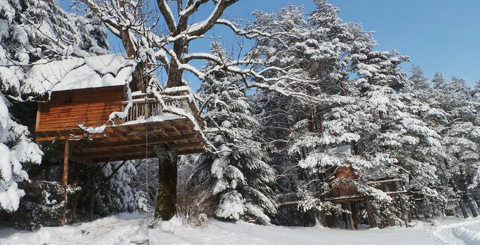 Camping Nids des Vosges Lorraine - Champdray visuel 3/10