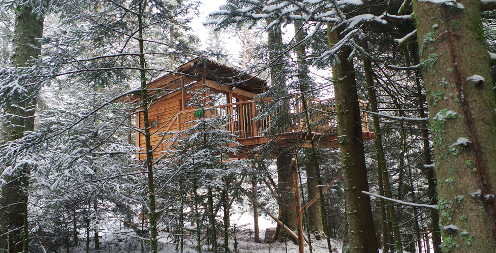 Nids des Vosges Lorraine - Champdray visuel 4/10