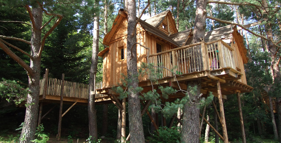 Nids des Vosges Lorraine - Champdray visuel 8/10