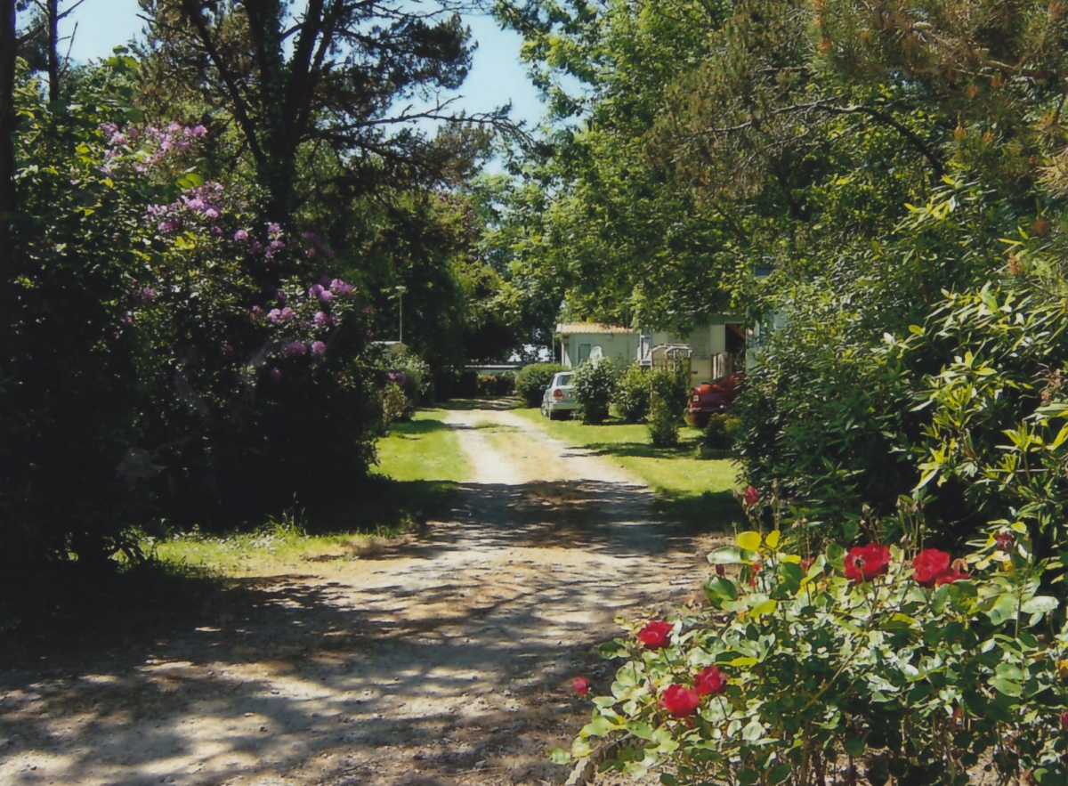 Odet Village Bretagne - Gouesnach visuel 4/7