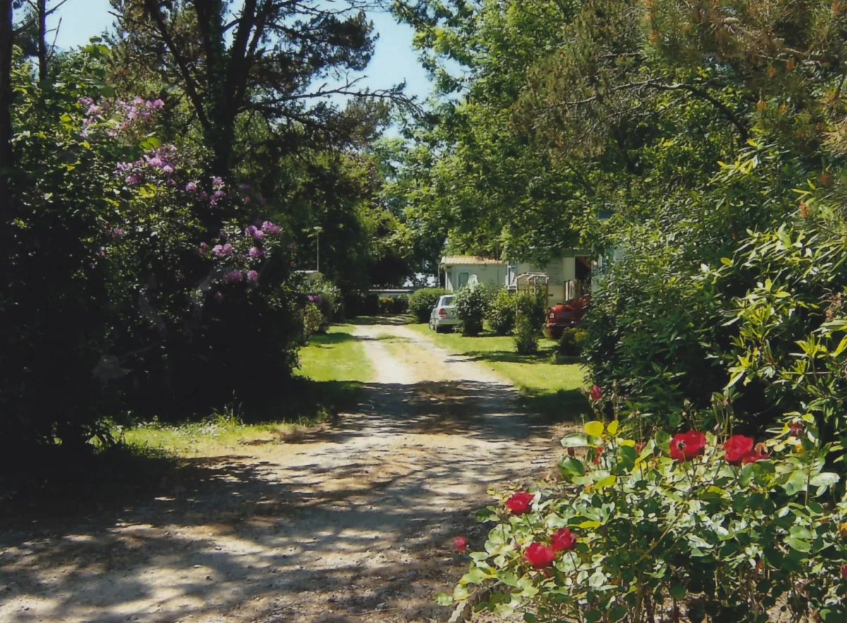 Camping Odet Village Bretagne - Gouesnach visuel 6/7