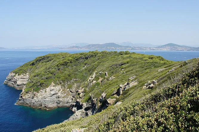 Camping Olbia Provence-Alpes-Côte d'Azur - Hyères visuel 4/10