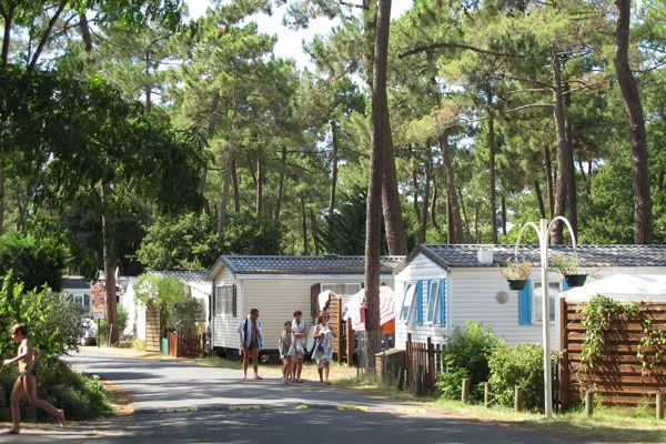 Camping Palmyre Loisirs Poitou-Charentes - Les Mathes-La Palmyre visuel 14/18