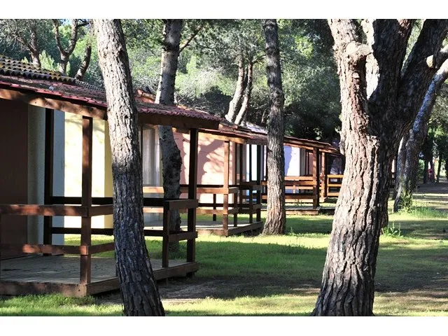 Camping Parc Résidentiel Bellevue Languedoc-Roussillon - Valras-Plage visuel 12/12