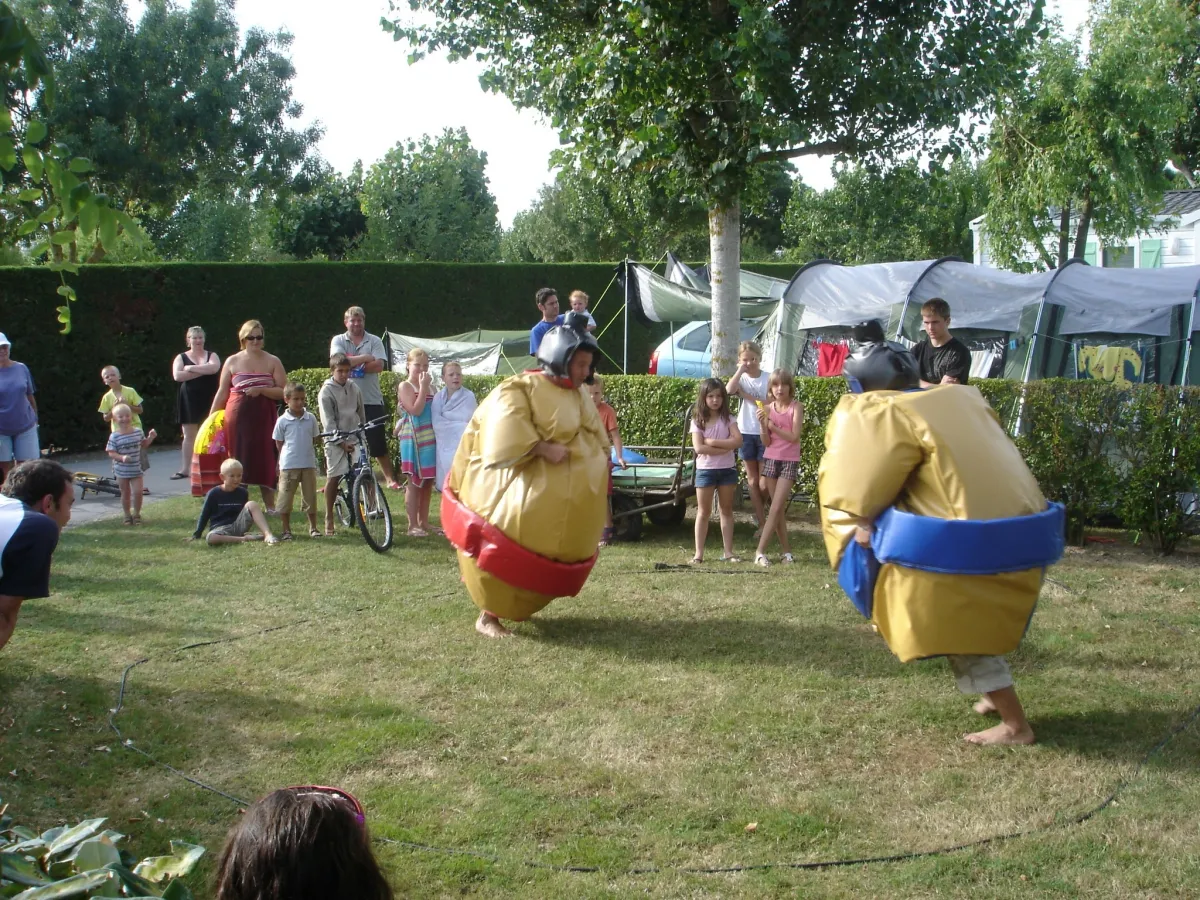 Camping Plein Sud Pays de Loire - Saint-Jean-de-Monts visuel 6/11