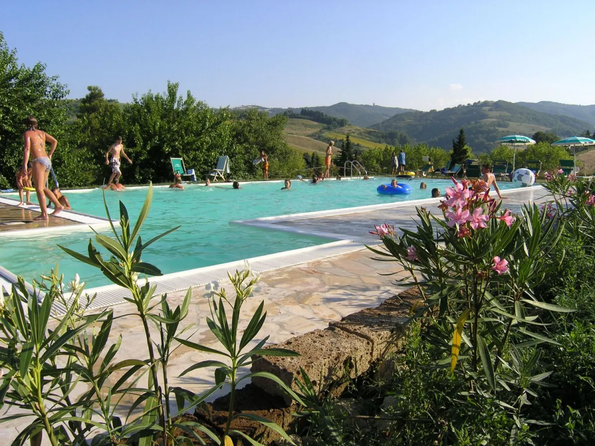 Camping Podere Sei Poorte Marches - Senigallia visuel 10/10