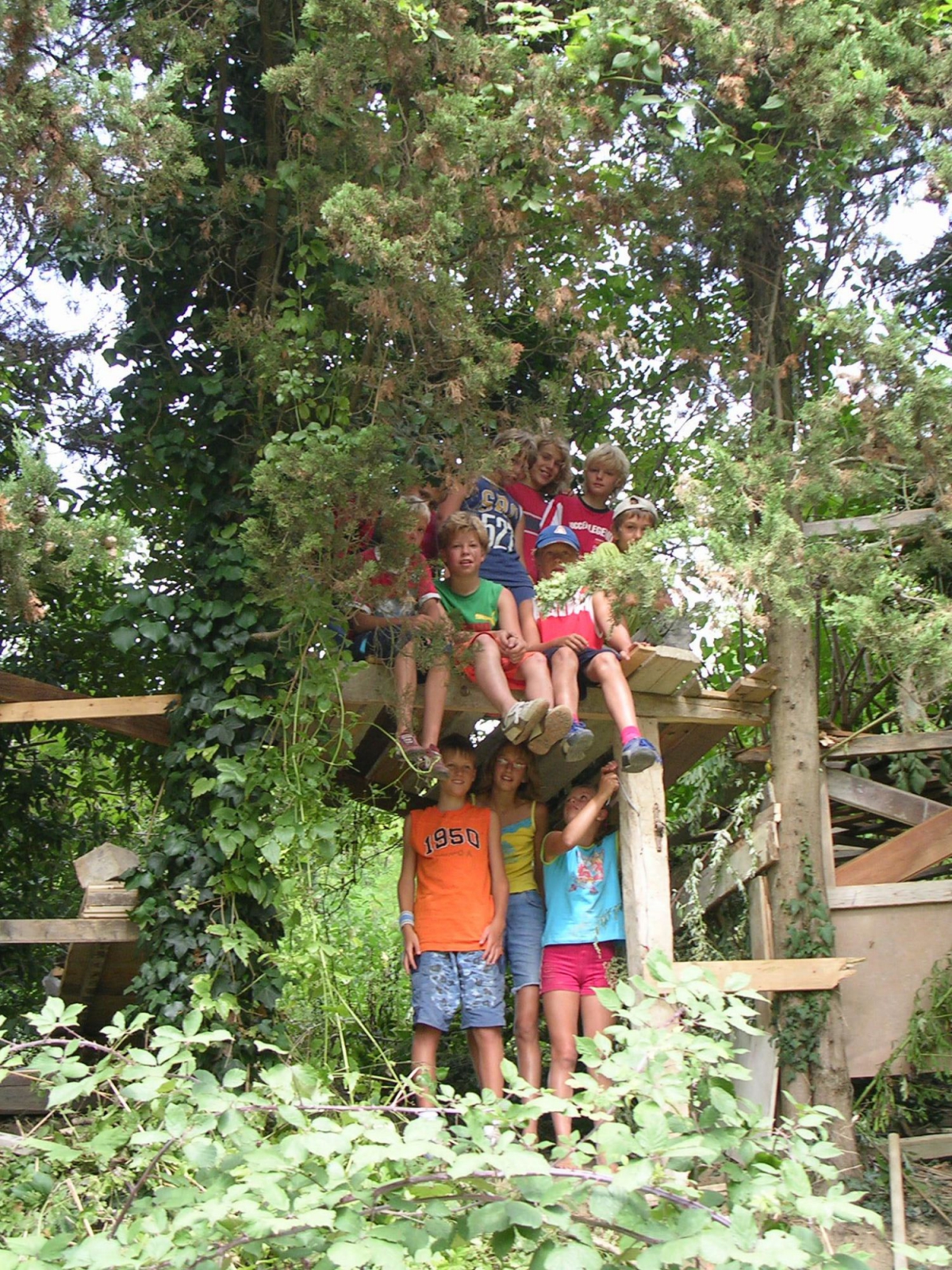 Podere Sei Poorte Marches - Senigallia visuel 4/10