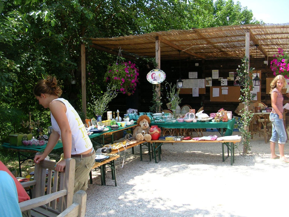 Podere Sei Poorte Marches - Senigallia visuel 6/10